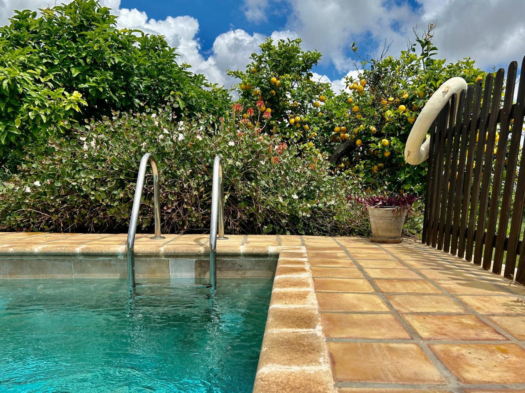 הוילה אבולה Authentic Sicilian Charm, Pool, Sea View, Wi-Fi & Parking מראה חיצוני תמונה